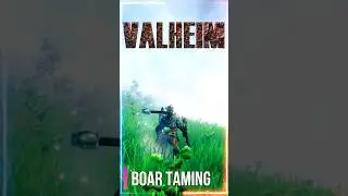 How to tame a boar in Valheim 