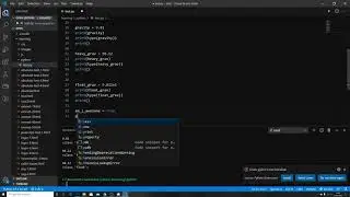 Python Basics 3 (Full Fat) : variable declarations
