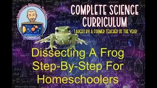 How To Dissect A Frog
