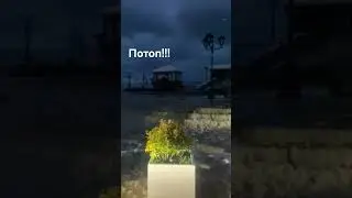потоп угадайте где 