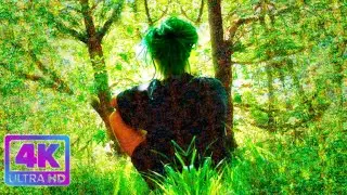 magic mushroom trip simulation (ft.@VEE3RDEYE meditating, Wales trip part 4, 4K)