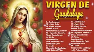 MÚSICA PARA LA VIRGEN DE GUADALUPE🎶Cantos Para La Virgen  De Guadalupe 🎶GRANDES EXITOS🙏