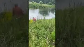 Переселение золотых карасиков...