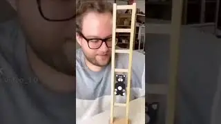 кот кувырком, ржач