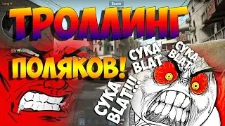 Поляки поют Ленинград — Экспонат