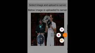 Android Upload image Using Volley To Server