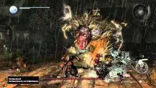 Nioh Alpha Demo - Nue, 1st Encounter