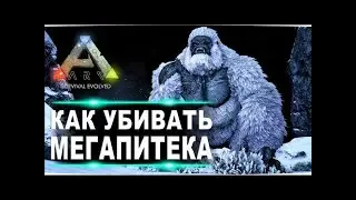 Арк В первые Убил Босс Мегопитек