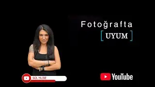 Fotoğrafta Uyum Nedir? [ Fotoğraf Kompozisyon Ögeleri Serisi]