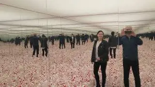 infinityRoomRotated