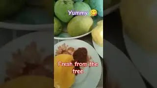 Indian Manggo  again yummy