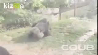 ЖЕСТОКИЙ ЗАБИВ ОФНИКОВ НА СМЕРТЬ!!!! ПРОСТО ЖЕЕСТЬ! УБИЛИ ОФНИКА! СМЕРТЬ!!ЗАБИВ ОФ!