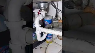 disposal backing up into the basket strainer 😒