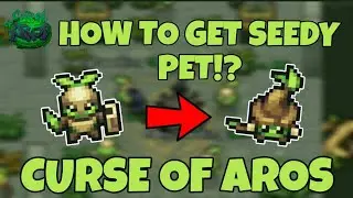 HOW TO GET SEEDY PET? - CURSE OF AROS