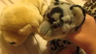 I AM NOT UR HONEY!!!!!!!!(webkinz kwik klip)