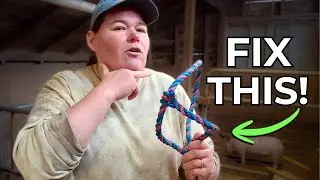 1st Mistake Calf Owners Make When Haltering!
