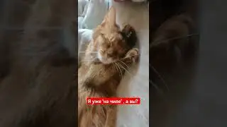 Я 'на чиле'