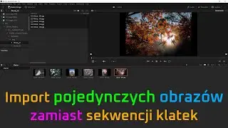 S10E06 - Import Pojedynczych Obrazów zamiast Sekwencji Klatek w DaVinci Resolve