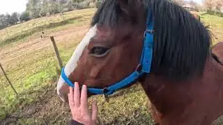 Agarre de El Apache 3