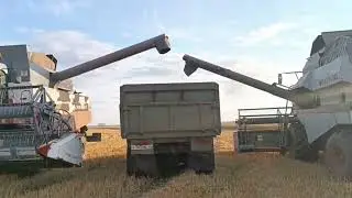Уборка 2025#3 комбайны Акрос580 и Вектор410.