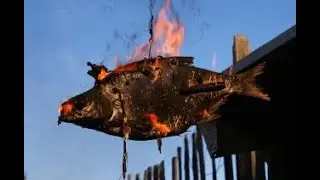 Можно ли топить рыбой печь . правда это или мифы