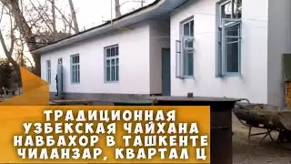 Традиционная узбекская чайхана НАВБАХОР в Ташкенте, машхур НАВБАХОР чойхонаси Чиланзар, квартал Ц