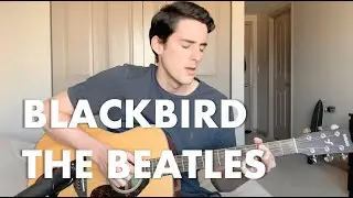 Blackbird - The Beatles (Acoustic Cover)