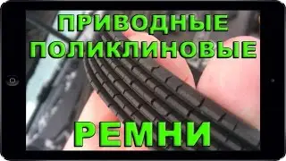 ВСЁ, что нужно знать о ПРИВОДНЫХ РЕМНЯХ. Технический семинар Gates. Поликлиновые ремни генератора