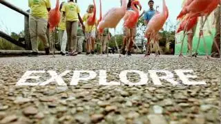 SeaWorld Parks & Entertainment Education Programs