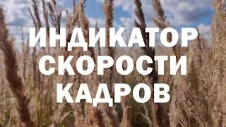 Индикатор Скорости Кадров в mcpro24fps