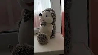 🧶Милая прогулка у окна