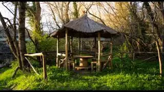 Woodland Birdsong, Relaxing Nature Sounds