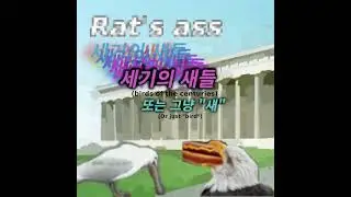 Birds Of The Centuries - Rat's Ass