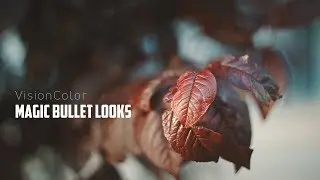 VisionColor | Canon