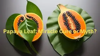 Papaya Leaf: Nature's Remedy or Hype? Debunking Myths & Highlighting Benefits!