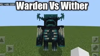 Warden vs Wither