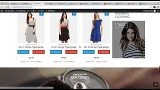 StoreVilla Free WordPress Theme - How to Configure Footer and Sub Footer Area | WordPress Tutorial