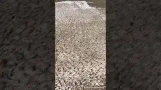 How to remove a large paint spill