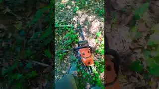 ha la 500 i 