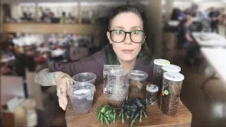 oops I got 9 new spiders.. *NOT clickbait* Tarantula TAKEOVER Expo