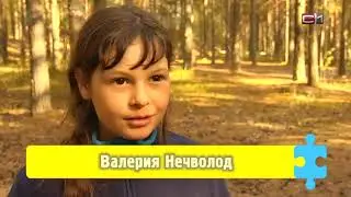 Тип-Топ Новости от 14.06.18