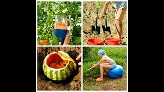 You'll NEVER guess how she's gardening 🤠 #shorts #gardening #plant
