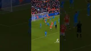 the g.o.a.t