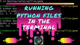 Running python files in the terminal