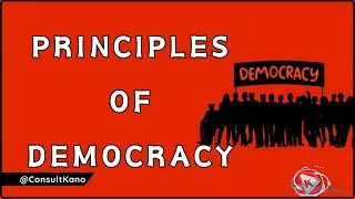 Principles of Democracy | Fundamental Democratic Principles | What Are the Principles of Democracy?