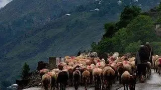 Rawalpindi To Naran Kaghan N-35.
