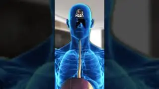 Мой организм когда туда попала одна капля алкоголя: 