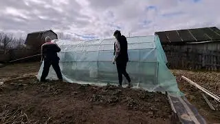Привет с дачи/Накрываем теплицу/
