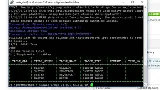 55 Activity Install Phoenix and query HBase with it