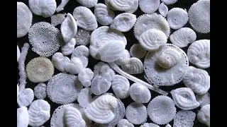 What Ancient Oceans Can Tell Us About the Future Climate